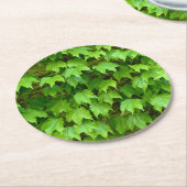 Boston Ivy Runder Pappuntersetzer (Angewinkelt)