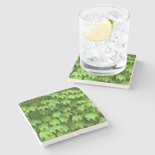 Boston Ivy Steinuntersetzer (Seitenansicht)