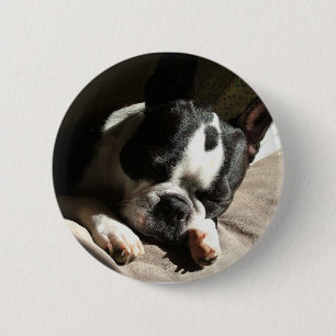 Boston-Knopf Button