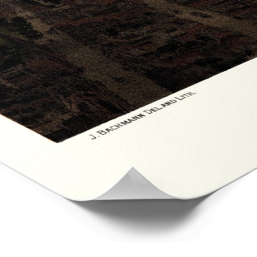 Boston, MA Panoramic Map - 1877 Poster (Ecke)