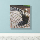 Boston macht Platz für Ducklings Leinwanddruck (Insitu (Holzboden))