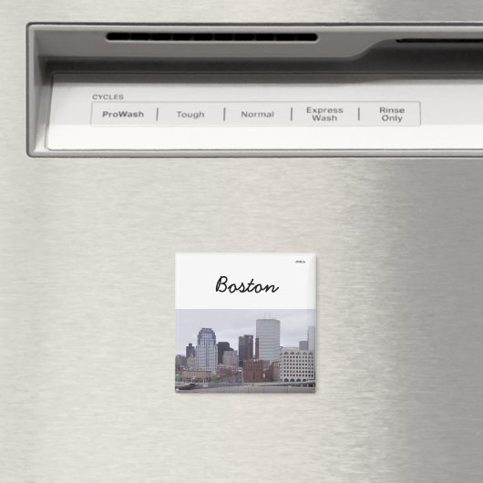 Boston Magnet (In Situ (Geschirrspüler))
