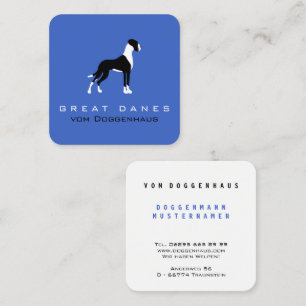 Boston Mantel Dogge auf blau Quadratische Visitenkarte