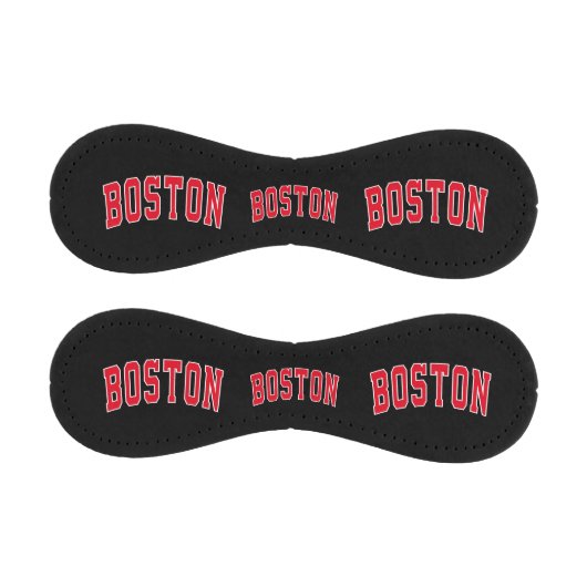 Boston, Massachusetts Baseball (Paneele)