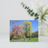 Boston, Massachusetts - Boston Gardens Post Card Postkarte (Stehend Vorderseite)