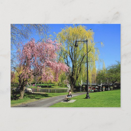 Boston, Massachusetts - Boston Gardens Post Card Postkarte (Vorderseite)
