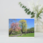 Boston, Massachusetts - Boston Gardens Post Card Postkarte (Stehend Vorderseite)