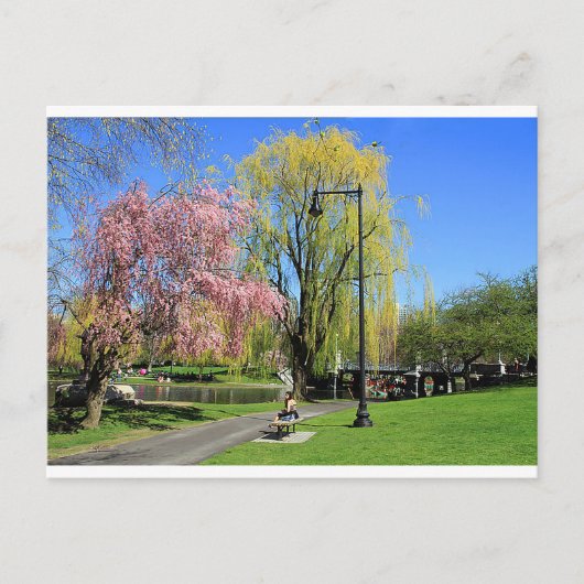 Boston, Massachusetts - Boston Gardens Post Card Postkarte (Vorderseite)