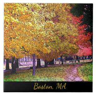Boston, Massachusetts Fall Foliage Fliese