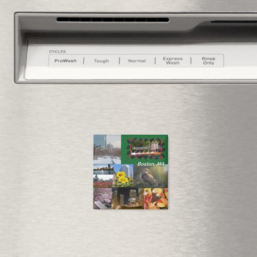 Boston, Massachusetts FotoCollage Magnet (In Situ (Geschirrspüler))