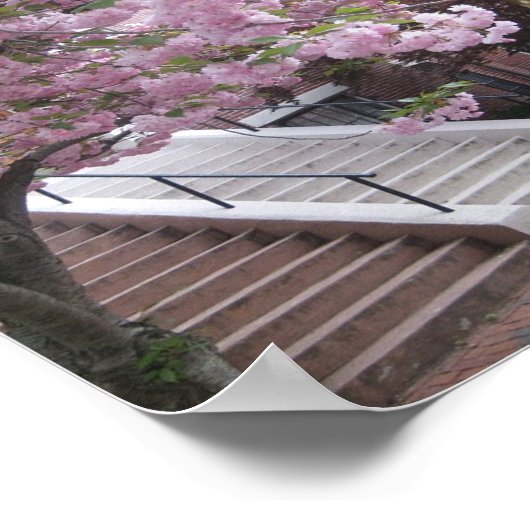 Boston, Massachusetts FotoCollage Poster (Ecke)