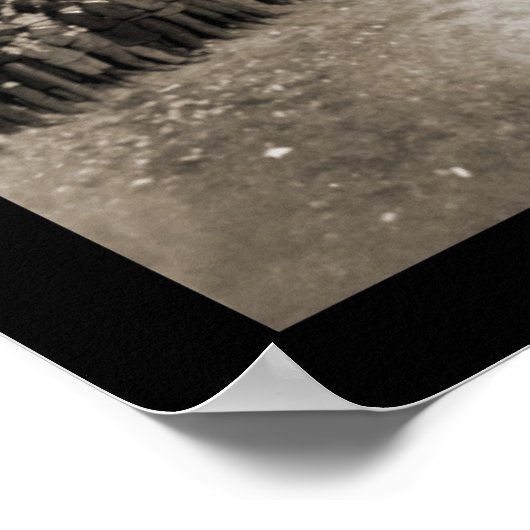 Boston & NY Baseball Foto 1904 Poster (Ecke)