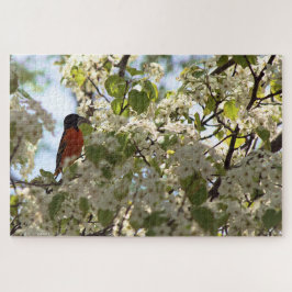 Boston Oriole Puzzle