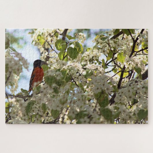 Boston Oriole Puzzle (Horizontal)