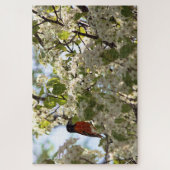 Boston Oriole Puzzle (Vertikal)