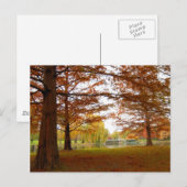 Boston Postkarte (Vorne/Hinten)