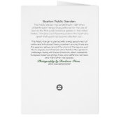 Boston Public Garden (Hinten)