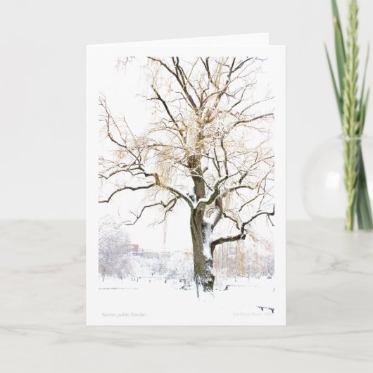 Boston Public Garden: Begrüßung hinzufügen Karte (Vorderseite)