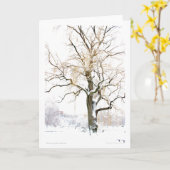 Boston Public Garden: Begrüßung hinzufügen Karte (Gelbe Blume)