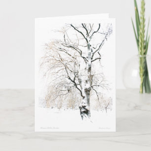 Boston Public Garden Feiertagskarte