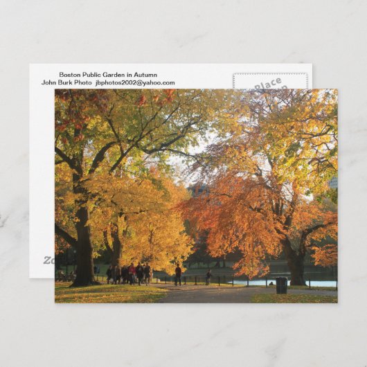 Boston Public Garden Herbst Postkarte (Vorne/Hinten)