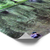 Boston Public Garden Poster (Ecke)