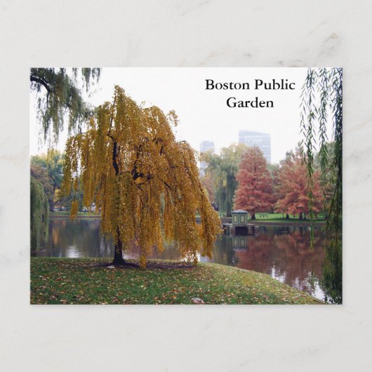Boston Public Garden Postkarte (Vorderseite)