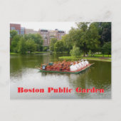 Boston Public Garden Swan Boats Fotografisch Postkarte (Vorderseite)