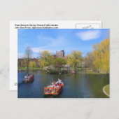 Boston Public Garden Swan Boote im Frühjahr Postkarte (Vorne/Hinten)