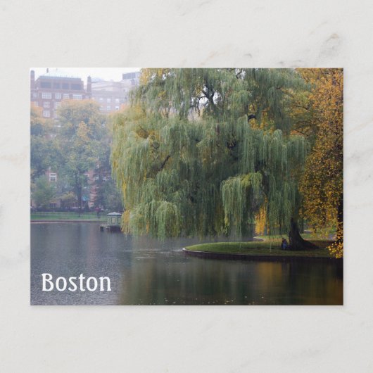 Boston Public Gardens Postkarte (Vorderseite)