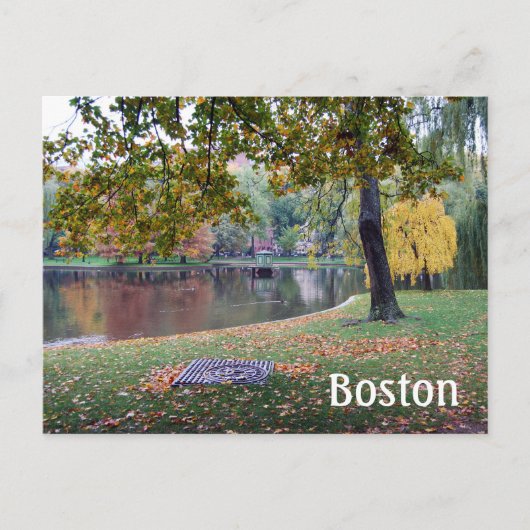Boston Public Gardens Postkarte (Vorderseite)