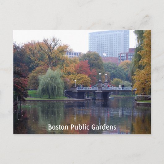 Boston Public Gardens Postkarte (Vorderseite)