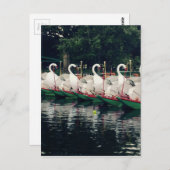 Boston Public Gardens Swan Boote Postkarte (Vorne/Hinten)