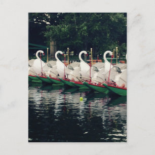 Boston Public Gardens Swan Boote Postkarte