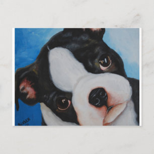 Boston pup.jpg postkarte