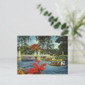 Boston-Schwanenboote Postkarte (Stehend Vorderseite)