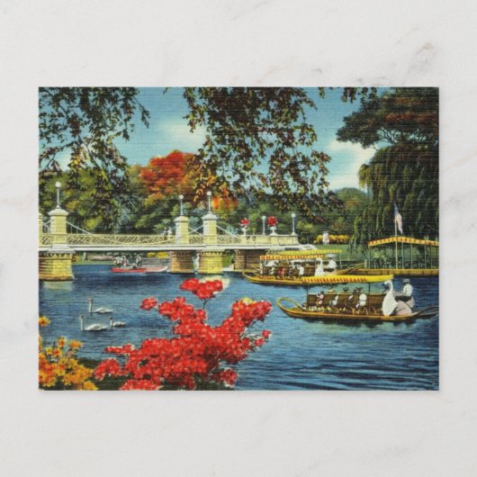 Boston-Schwanenboote Postkarte (Vorderseite)