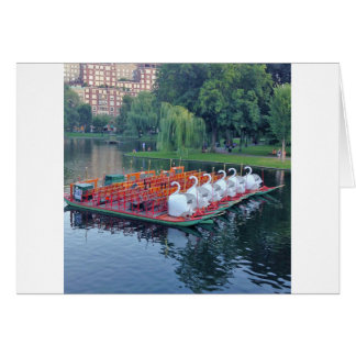Boston Swan Boats