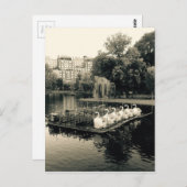 Boston Swan Boote in Schwarz und Weiß Postkarte (Vorne/Hinten)