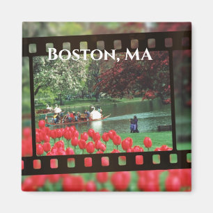 Boston Swan Boote Magnet