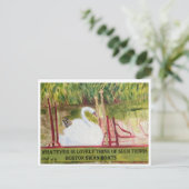 Boston Swanboat Postcard Postkarte (Stehend Vorderseite)