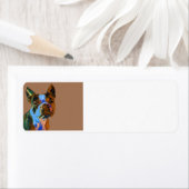 Boston Terrier (Insitu)