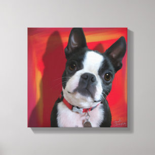 Boston Terrier 12x12 gedehnte Leinwand