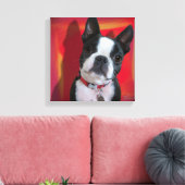 Boston Terrier 12x12 gedehnte Leinwand (Insitu (Wohnzimmer))