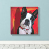 Boston Terrier 12x12 gedehnte Leinwand (Insitu (Holzboden))