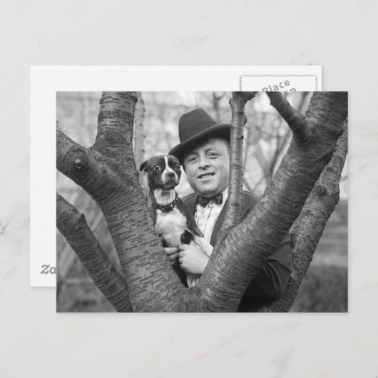 Boston Terrier, 1920er Postkarte (Vorne/Hinten)