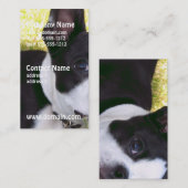 boston-terrier-1 visitenkarte (Vorne/Hinten)