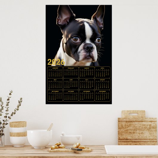 Boston Terrier 2026 Calendar  Poster (Küche)