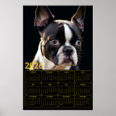 Boston Terrier 2026 Calendar  Poster (Vorne)