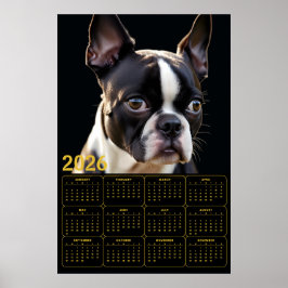 Boston Terrier 2026 Kalender Poster